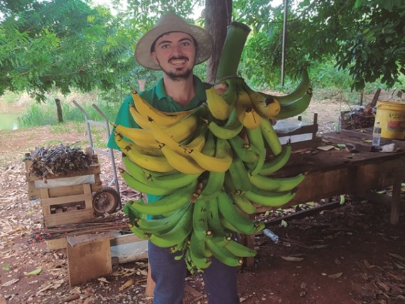 De onde vem o que eu como: banana tem família e até coração, Agro de gente  pra gente